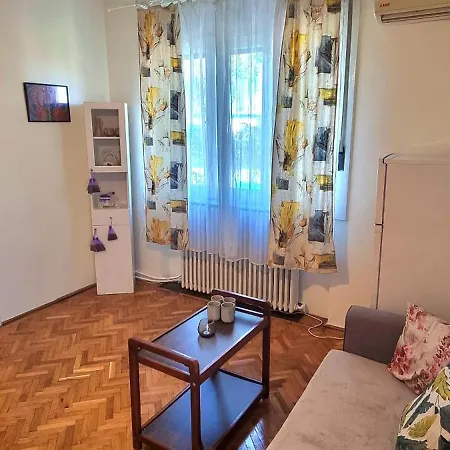 Timbi Apartment, Free Parking, Garden, Barbecue, Pavilion, Charging Station דירה טימישוארה
